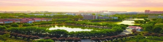 为什么智能减压可以帮助篮球运动员更好地应对比赛压力_1
